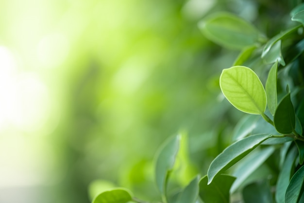 纯手绘日好推荐手抄报模板-手绘海报和手抄报手绘手抄报